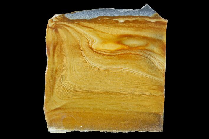 Polished Golden Picture Jasper Slice - Nevada #168351
